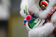 Traditional dragons head